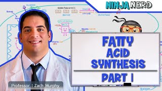 Metabolism  Fatty Acid Synthesis Part 1 [upl. by Vittorio]