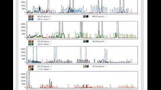 Short Tandem Repeats STR amp DNA profiling [upl. by Nevlin]