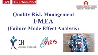 Quality Risk Management FMEA [upl. by Rushing]