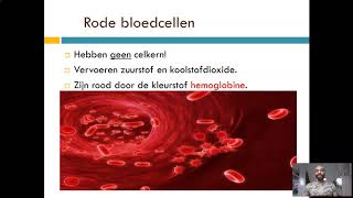 Bloedsomloop Bloedsamenstelling [upl. by Ring]