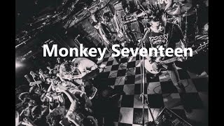 Stance Punks  Monkey Seventeen [upl. by Coffee848]