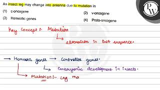 An insect leg may change into antenna due to mutation in 1 concogene 2 voncogene 3 Homeo [upl. by Vahe614]