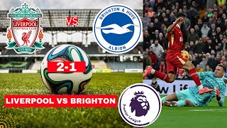 Liverpool vs Brighton 21 Live Stream Premier League Football EPL Match Score 2024 Highlights Vivo [upl. by Olympe708]