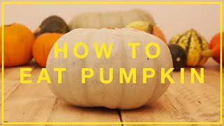 How To Eat Pumpkin I EatYourPumpkin  Hubbub [upl. by Hcirdla]