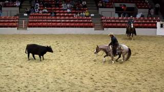 Houston Rodeo Professional Cutting Horse Competition [upl. by Aerbua]