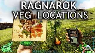 Ragnarok Vegetable Location [upl. by Larcher]