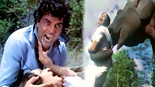 जंगली हाथी ने धर्मेंद्र की माँ को पैरो तले कुचला  Dharmendra Action  Hema Malini  Maa HD Movie [upl. by Lihcox]