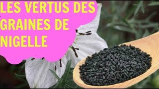 Les vertus de la graine de nigelle [upl. by Earej112]