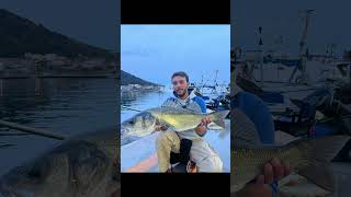 bolognese Martina Power vs big spigola spigola sea seabass bass fishing fish big bigfish [upl. by Aihpledalihp]