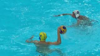 Water Polo amp Swimming  Day 8  Highlights  World Aquatics Masters Championships  Doha 2024 [upl. by Enrique43]