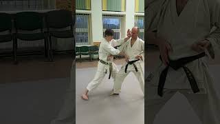 Nijushiho kata effective bunkai nr10 shorts [upl. by Urania]