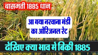 बासमती 1885 धान का भाव  Aaj Ka Dhan Ka Bhav Kya Hai  Haryana Mandi Bhav Must See [upl. by Llenrac]