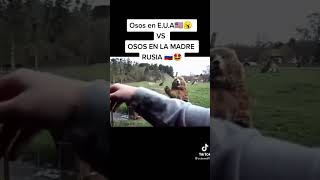 OSOS EN ESTADOS UNIDOS 🇺🇸😐 vs OSOS EN RUSIA 🇷🇺🥵 shorts [upl. by Eus]