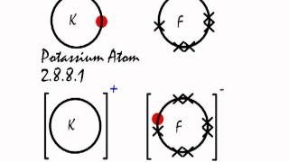 This is how the ionic bond forms in Potassium Fluoride KF [upl. by Anihsit116]