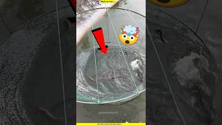 मछली पकड़ने का दिमाग 🤯 New Viral Gadgets smart kitchen appliancesutensils shorts [upl. by Ahsiea]