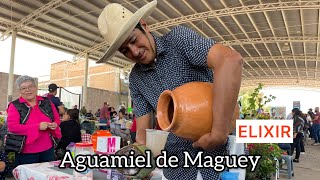 AGUAMIEL DE MAGUEY  Deliciosa y medicinal  Valparaíso Zacatecas 2024 [upl. by Ydnak312]