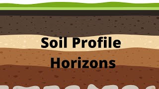 Soil Profile and Soil Horizons [upl. by Gurl]