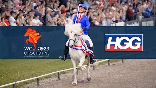 IslandpferdeWM 2023 in Oirschot Holland  präsentiert von HGG REITSPORT [upl. by Anaitit302]