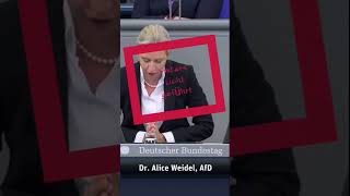 Denn wir haben ein Stromprobleme Alice Weidel spricht Tacheles amp Habeck ist es wieder egal afd [upl. by Vera]