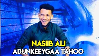 NASIIB ALI  ADUUNKEYGAA TAHOO  OFFICIAL MUSIC 2022 [upl. by Katonah]