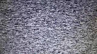 1 Hour  No Signal  TV Static Noise  White Noise  FullHD 🤔😱 [upl. by Tatum556]