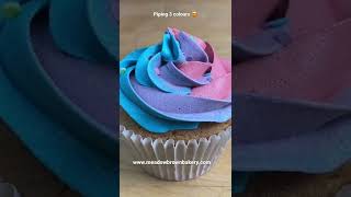 Piping 3 colours on cupcakes  Simple cupcake decorating ideas  How to decorate cupcakes [upl. by Orth]