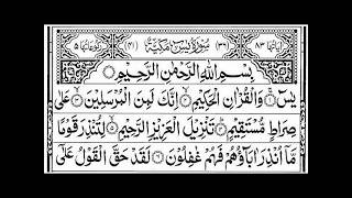 Surah Yasin Yaseen Beautiful Recitation  یس سورہ76 0230edit000124 [upl. by Vizza953]