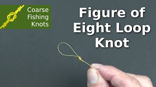 Figure of eight loop knot  How to tie [upl. by Duff105]