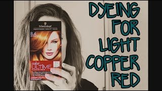 Dyeing for SCHWARZKOPF Light Copper Red 84 [upl. by Salot]