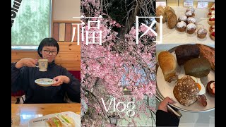 Hana福冈旅行Vlog下舞鹤公园看樱花 在光秃秃的樱花树下吃便当 蹬天鹅船 老爷爷老奶奶开的关东煮店 水果贝果三明治 美味汉堡排蛋包饭 最后一天的面包购物 [upl. by Ephraim404]