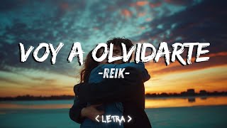 Voy a Olvidarte  💖Sin ti mi vida no tendría color💖 letra voyaolvidarte [upl. by Thamora]