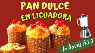 PAN DULCE EN LICUADORA 👉 ¡Fácil Sin Amasar y Rápido 😍panettone pandulce panneton [upl. by Nosle]