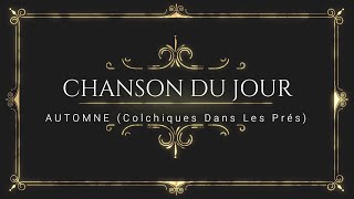 COLCHIQUES DANS LES PRÉS [upl. by Jamison]