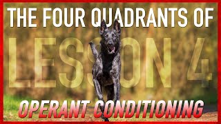 Understanding The Four Quadrants of Operant Conditioning Dog Training [upl. by Eedyak]