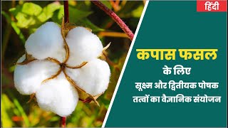 कपास फसल के लिए सूक्ष्म और द्वितीयक पोषक तत्वों का वैज्ञानिक संयोजन II Cotton Farming II Hindi II [upl. by Anuahs]