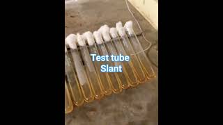 Potato Dextrose Agar  Test tube  Culture media 🦠🦠🧪🧪🧪🧫🧫🧫 [upl. by Aiynot]