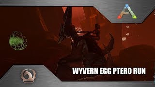 Ark Survival Evolved  Stealing wyvern eggs using Pteranodon Ragnarok  Dragonmalte Trench [upl. by Betsey]