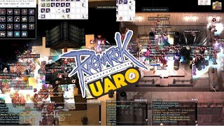 Ragnarok Online  Renewal Leveling  199 Knight  Speedrun iRO [upl. by Neellek]