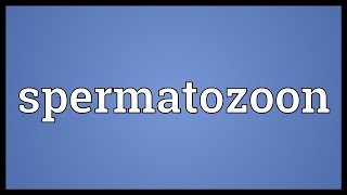 Spermatozoon Meaning [upl. by Fern523]