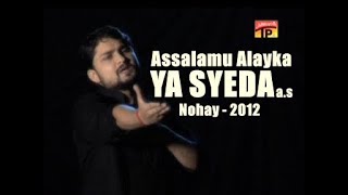 Assalamu Alayka Ya Syeda ع  Nohay 2012  Syed Raza Abbas Zaidi [upl. by Hgielah]