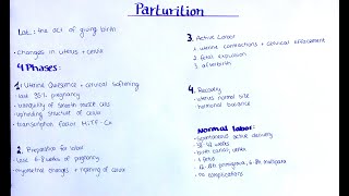 Parturition normal labor changes of uterus and cervix [upl. by Shriner]