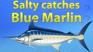 Fishao  Salty catches Blue Marlin 5★ [upl. by Fredrick770]