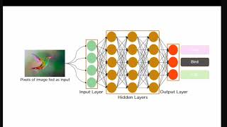 CNN explained  Convolution Neural Network  Hindi  Bababoss [upl. by Ellennej]