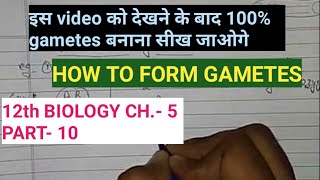 Class 12 biology chapter 5part 10how to form gametesby study with farru [upl. by Cleland585]