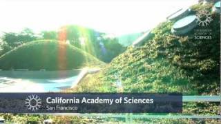 Travel to California Academy of Sciences [upl. by Marden]