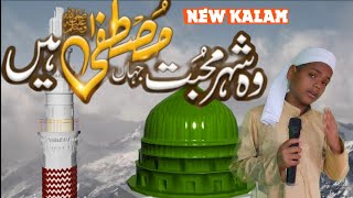 Wo Shehr e Muhabbat  New Heart Touching Urdu naat  Mahfuz Tecnology11  Zohaib Ashrafi [upl. by Ecinehs461]