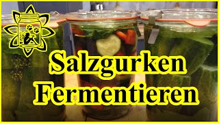 Salzgurken  Gurken fermentieren  gesund haltbar machen  Gurken milchsauer einlegen  Fermentation [upl. by Eylsel725]