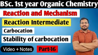 Stability of carbocation  Reaction and Mechanism  BSc 1st semester organic chemistry [upl. by Alien]