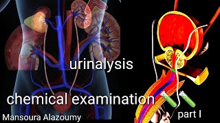 Urinalysis chemical examination 🧪🧪 [upl. by Proulx]