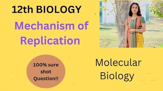 12th Biology  Mechanism of DNA Replication [upl. by Suzann]